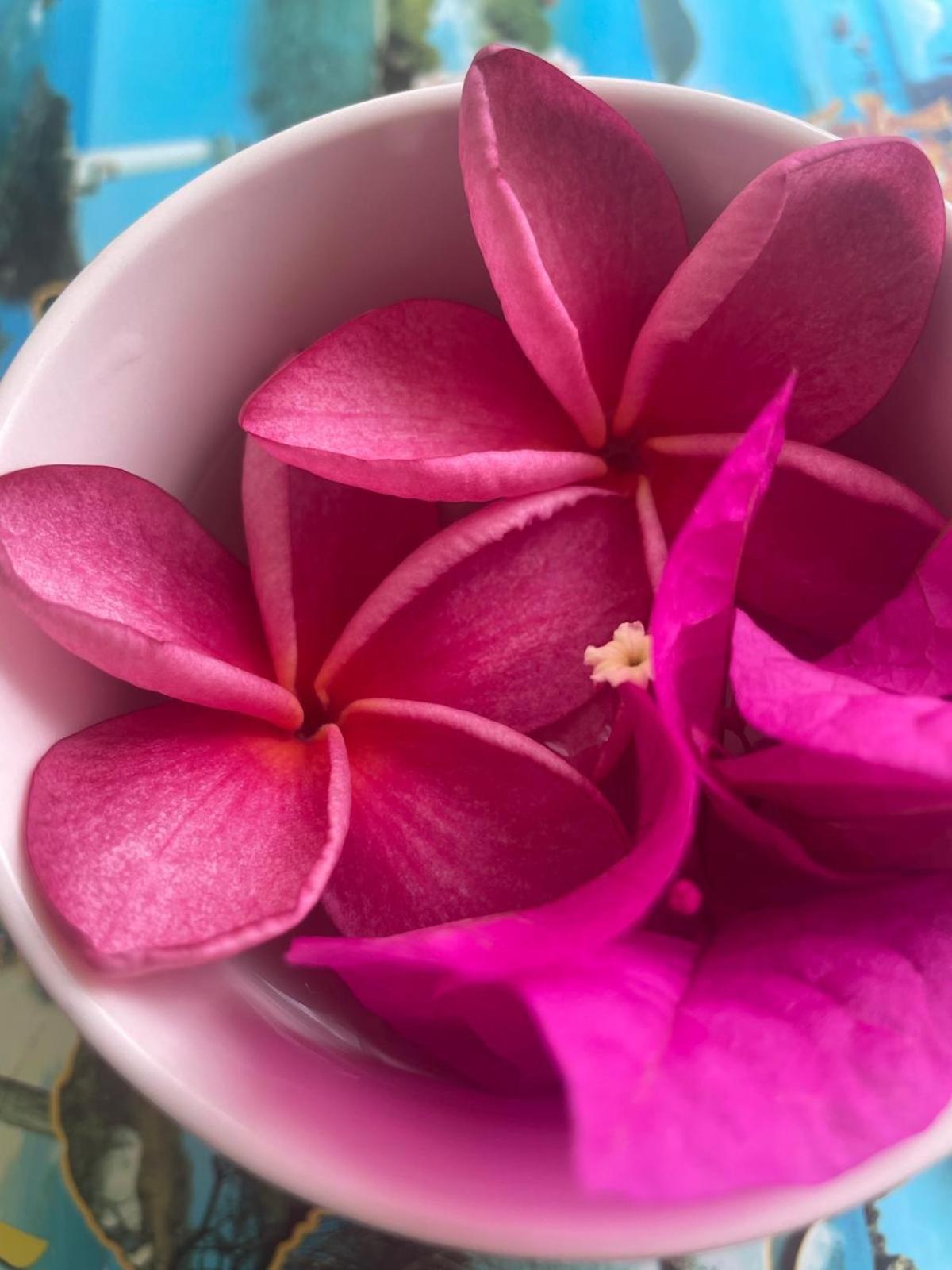 Studio Hibiscus Anse Des Rochers Saint Francois Exteriér fotografie