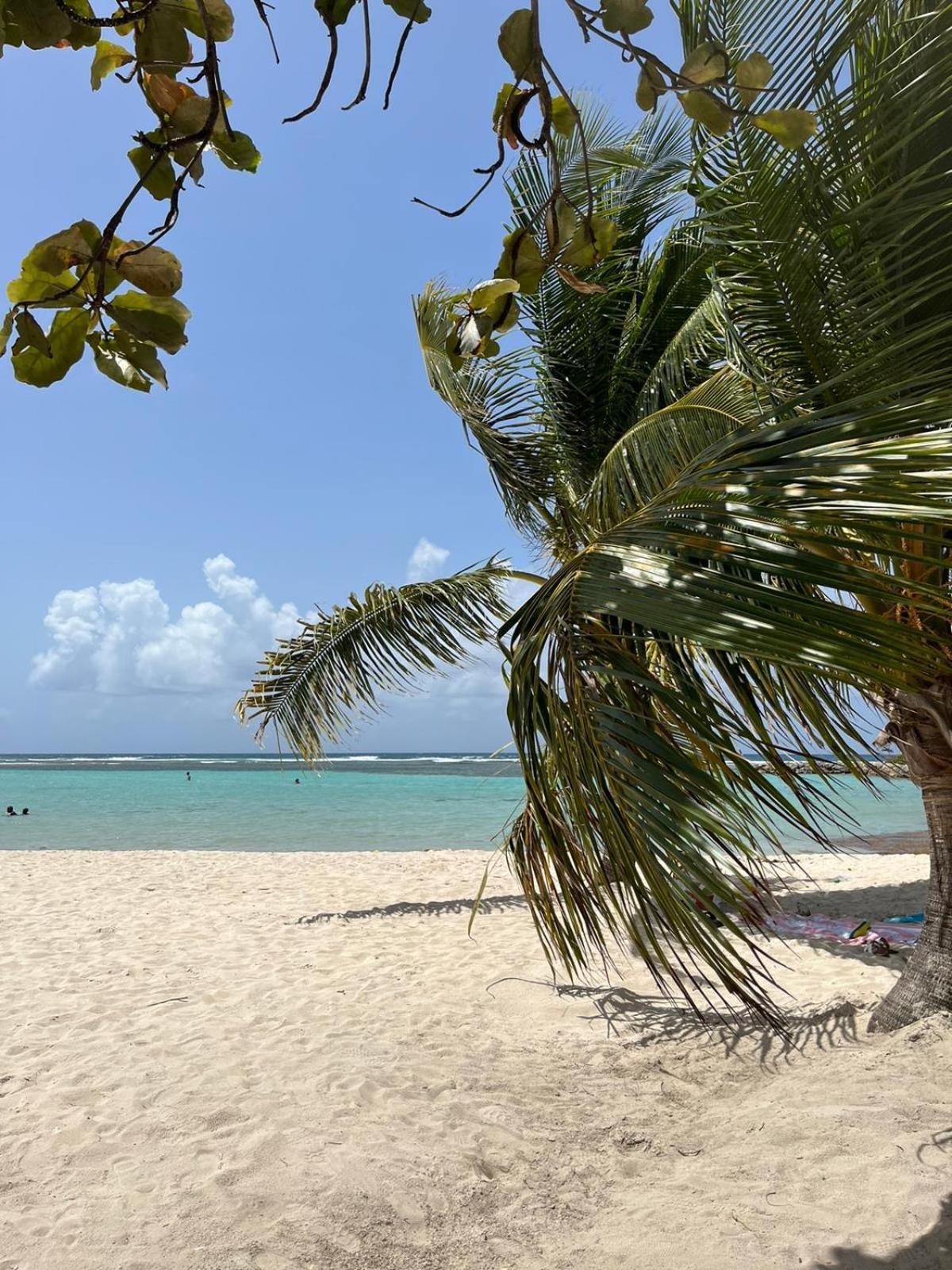 Studio Hibiscus Anse Des Rochers Saint Francois Exteriér fotografie